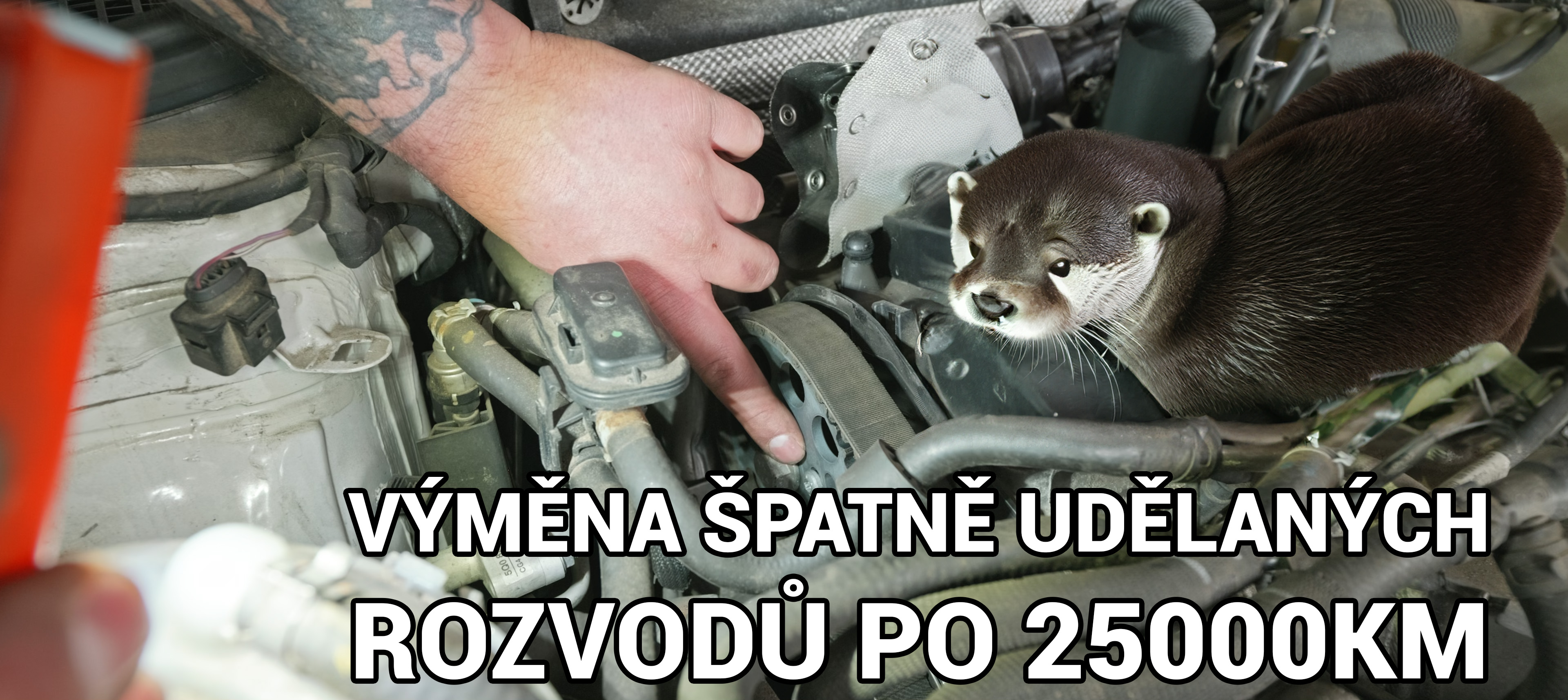 Služby autoservisu Vydra Trutnov